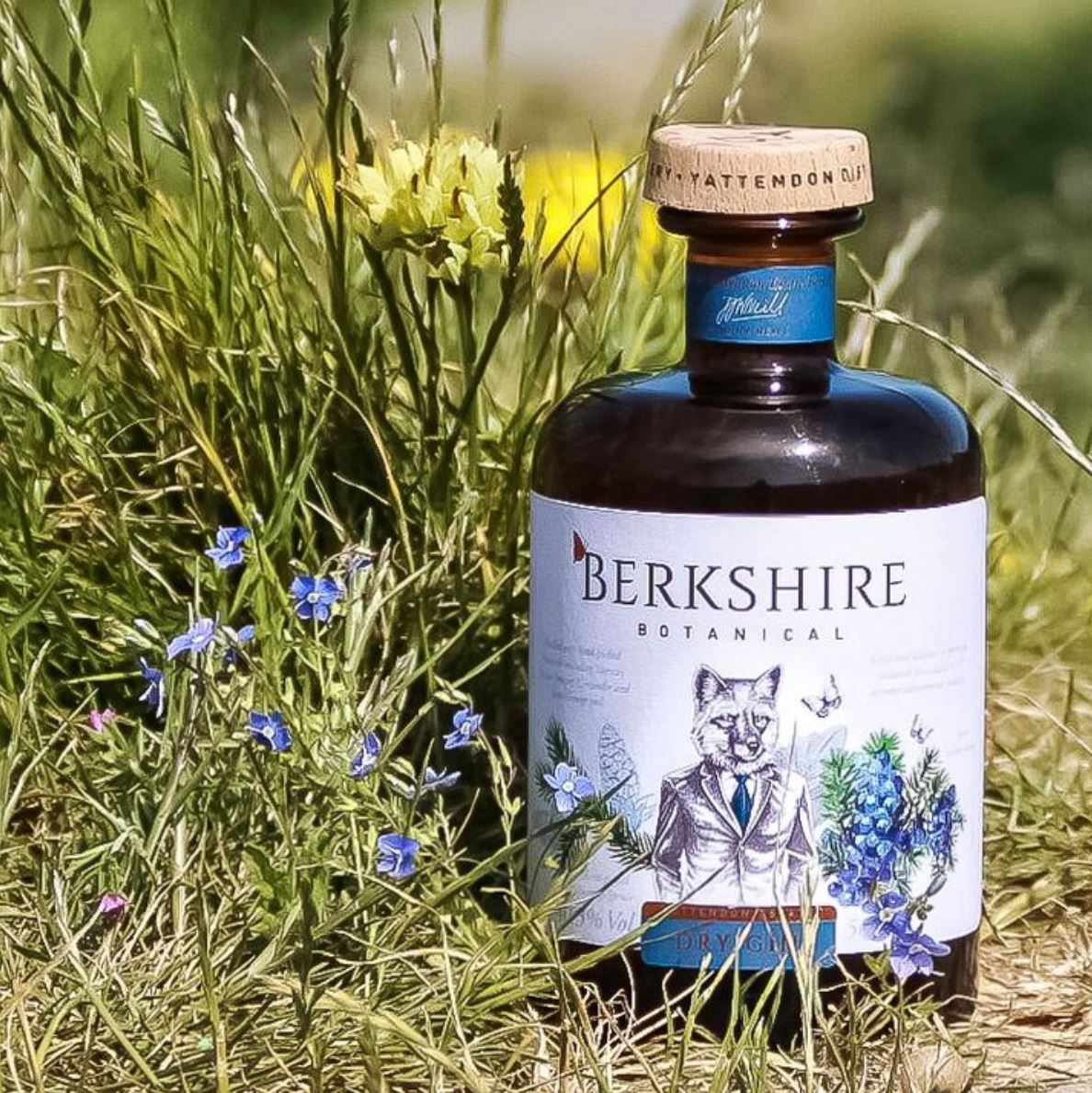 Hawkshead Brewery - Berkshire Botanical Dry Gin 50cl 